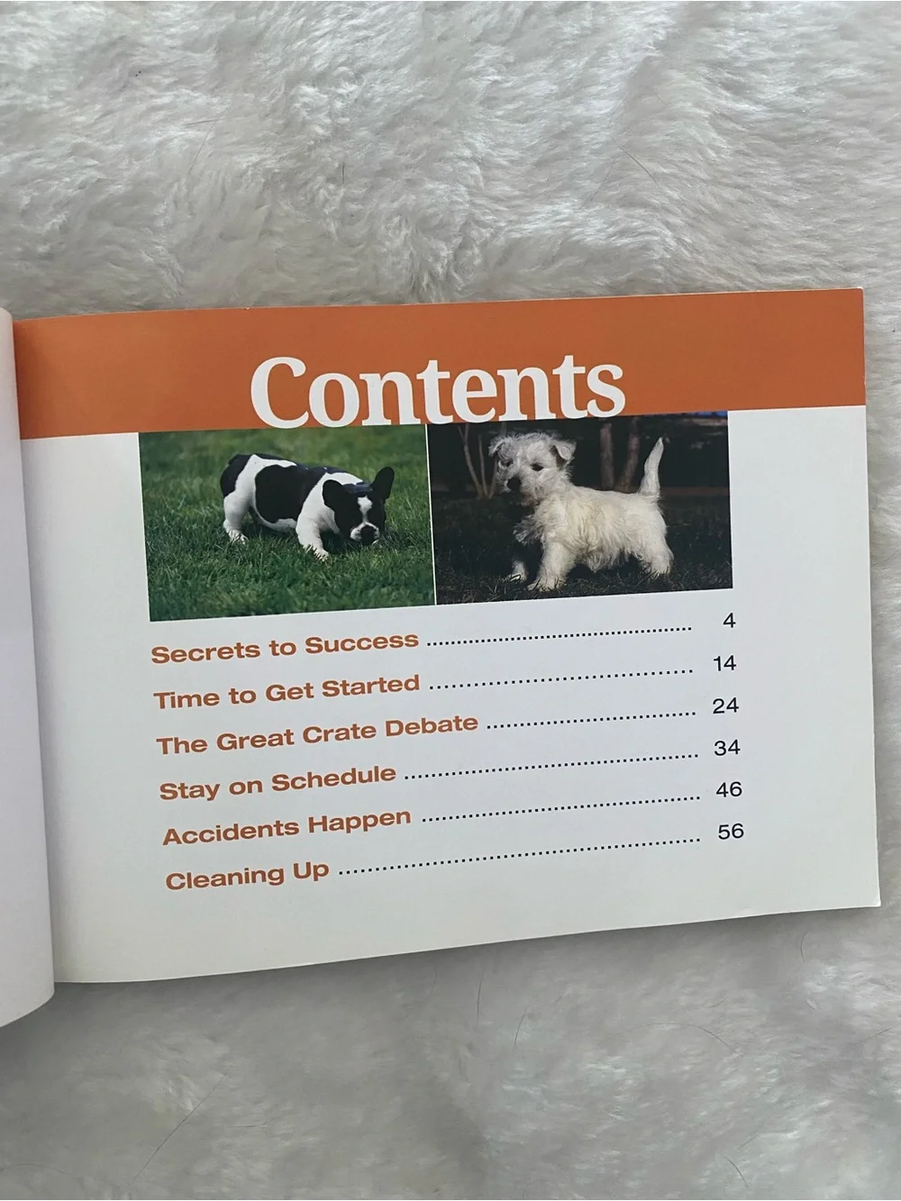 Two Dog Training Books